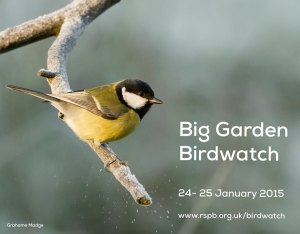 RSPB big garden birdwatch